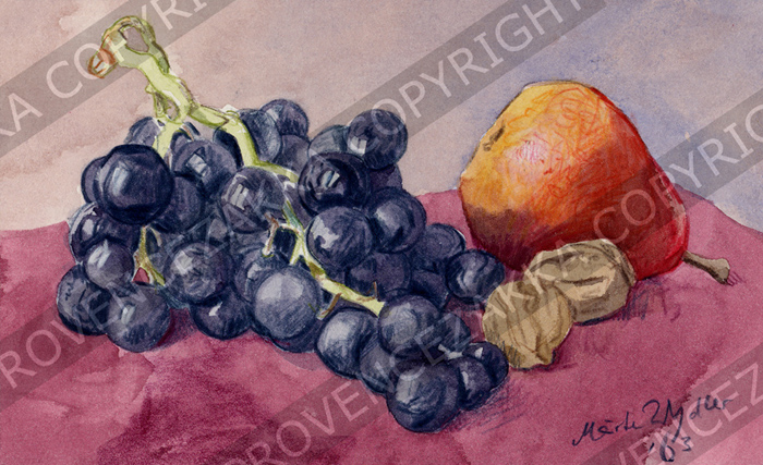 Provence terroir, Cabernet, French painting, signed print - Click Image to Close