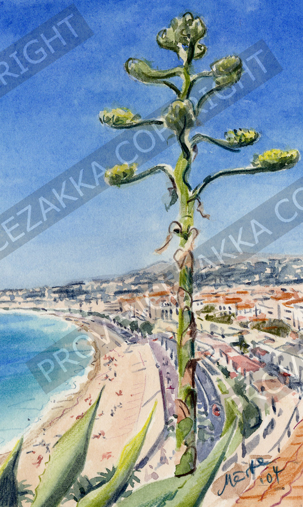 Nice, Agave Baie des Anges, water color painting, signed print