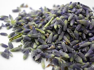 dry lavender flowers